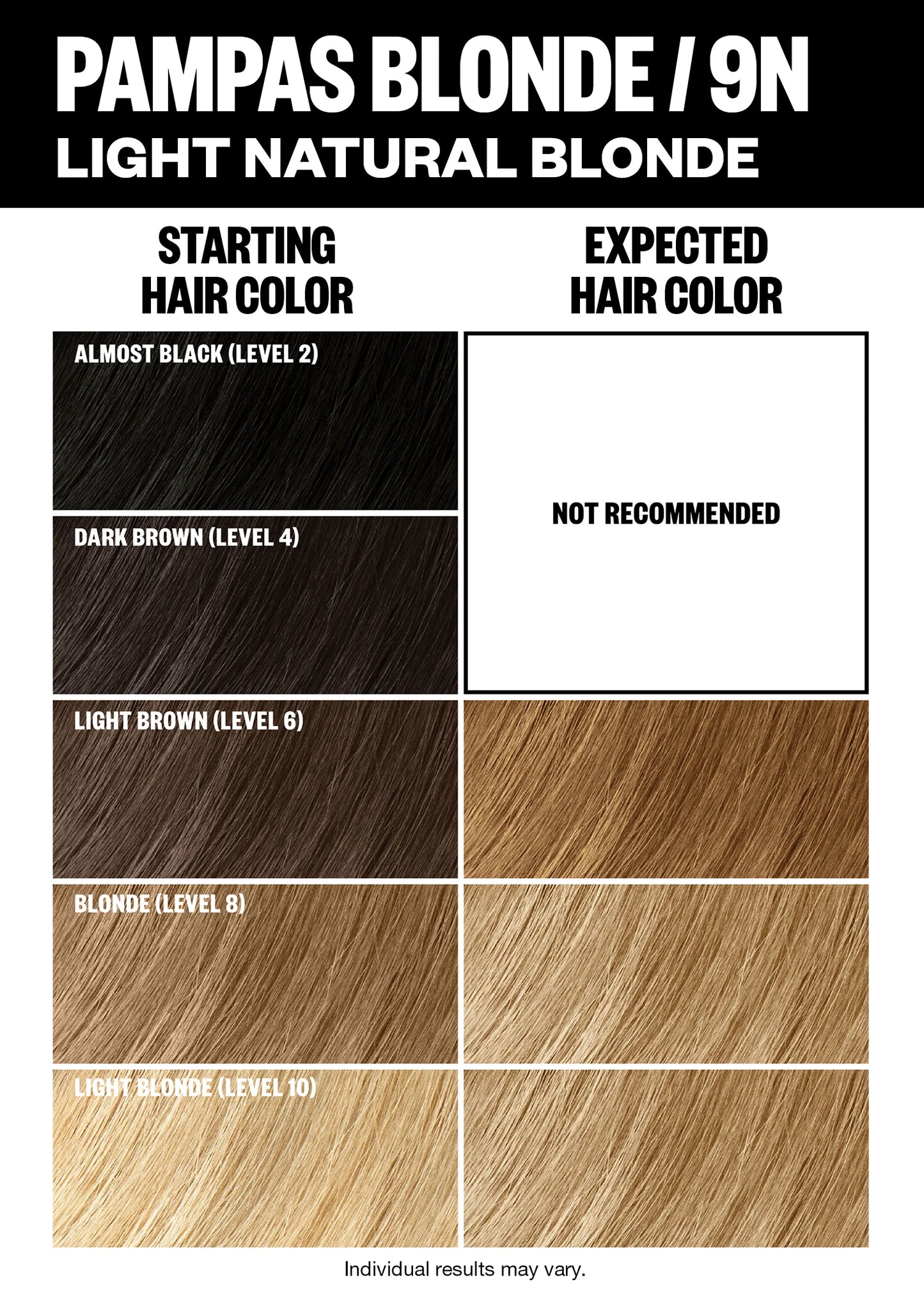 Permanent Color Kit